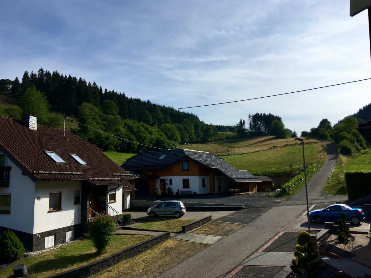 Ferienwohnung Am Nuerburgring/Wintersport Arft Acht Bagian luar foto
