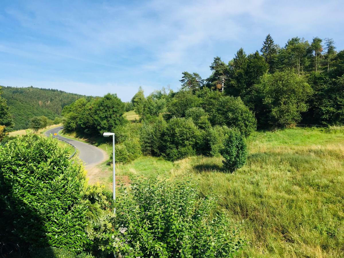 Ferienwohnung Am Nuerburgring/Wintersport Arft Acht Bagian luar foto